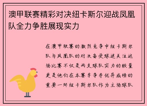澳甲联赛精彩对决纽卡斯尔迎战凤凰队全力争胜展现实力