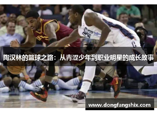 陶汉林的篮球之路：从青涩少年到职业明星的成长故事