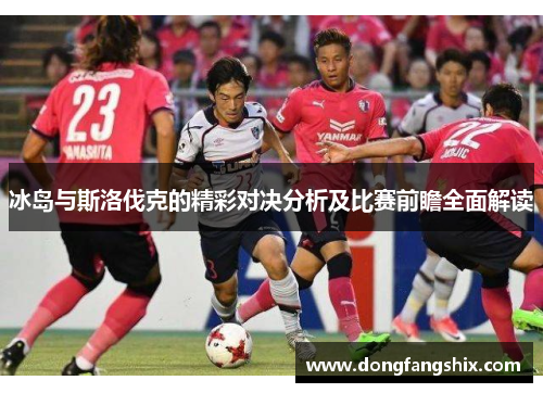 冰岛与斯洛伐克的精彩对决分析及比赛前瞻全面解读