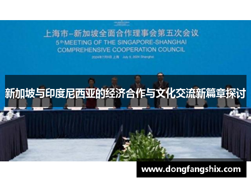 新加坡与印度尼西亚的经济合作与文化交流新篇章探讨
